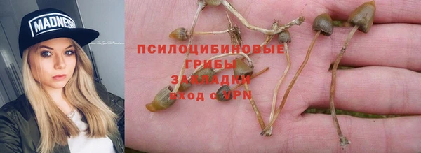 ГАЛЛЮЦИНОГЕННЫЕ ГРИБЫ Пролетарск