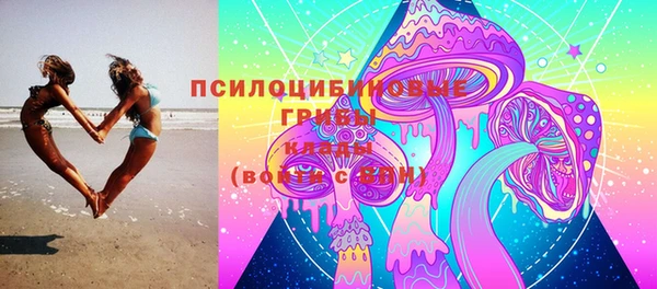 винт Алексеевка